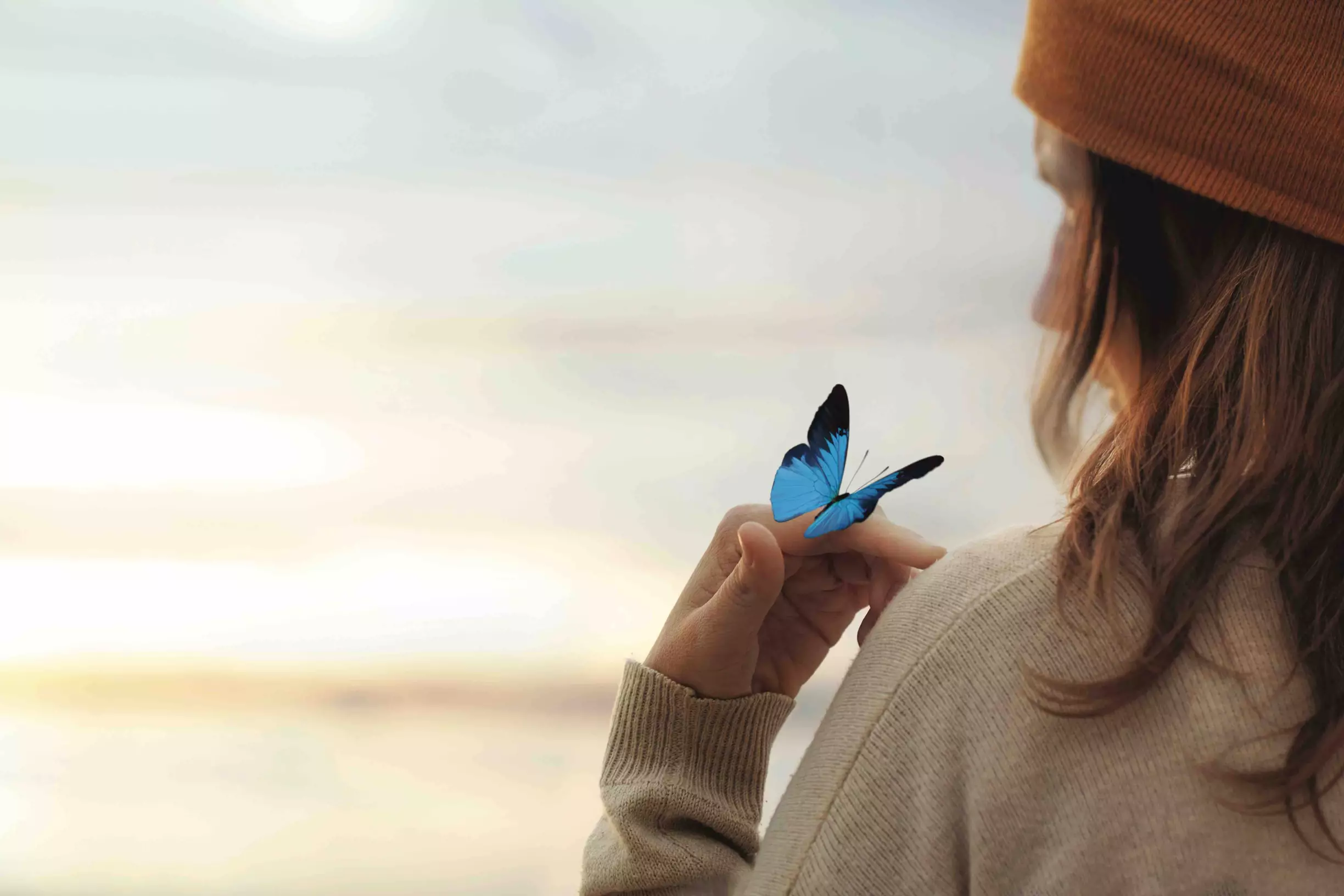 Prévoir ses obsèques papillon